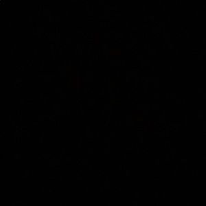 Meet your Posher, Brianne